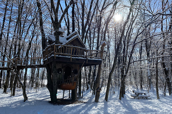 雪のツリーハウス