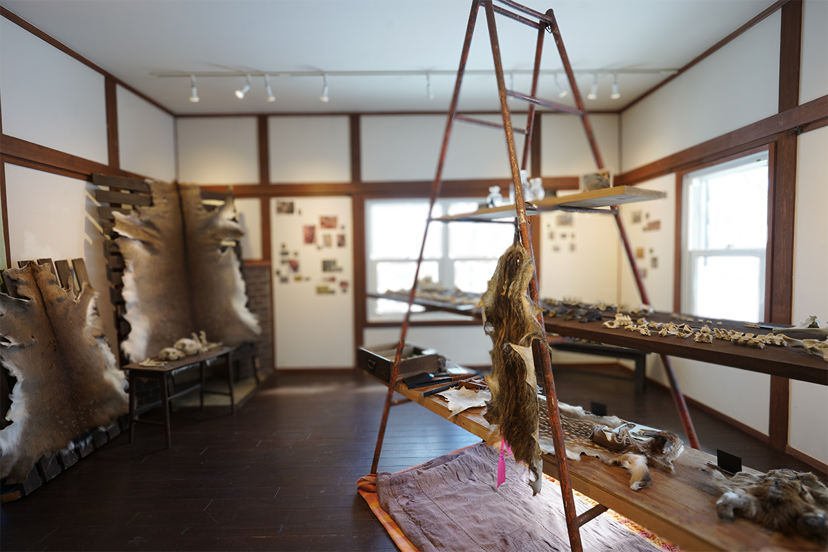 あれこれ展
