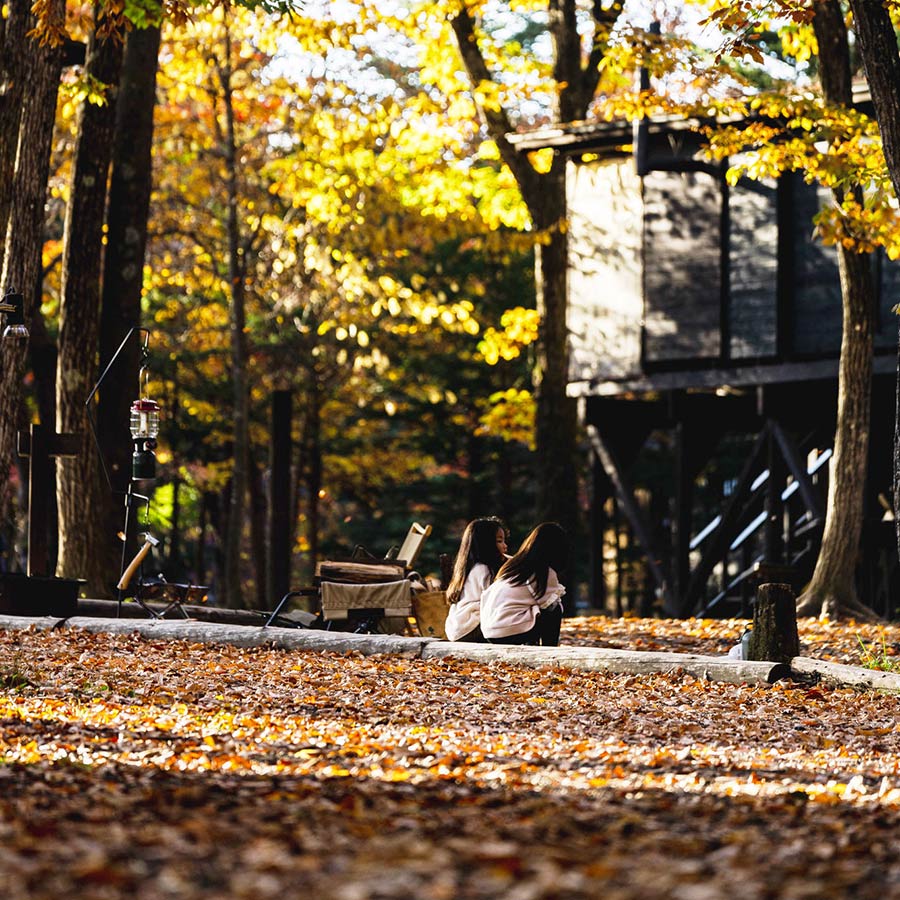 霜降のささやき