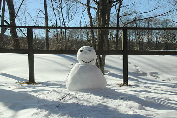 ２月の宿泊予約スタート