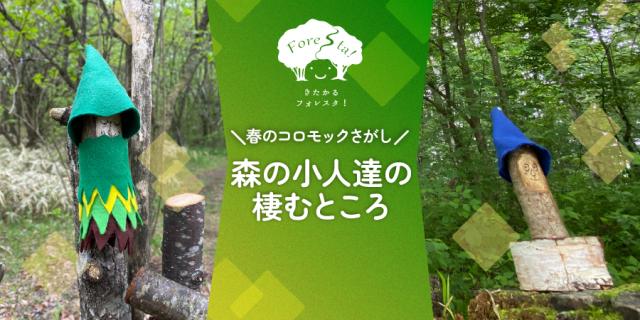 春のコロモックさがしー森の小人達の棲むところー