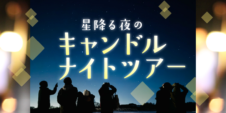 星降る夜のキャンドルナイトツアー