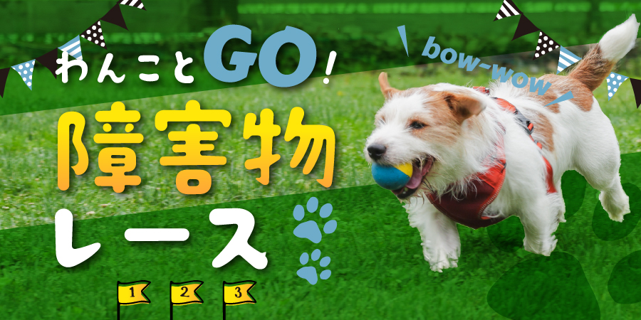 わんことGO!障害物レース